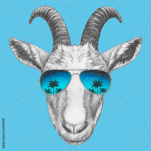 Portrait of Goat with sunglasses. Hand-drawn illustration. Vector isolated elements.	