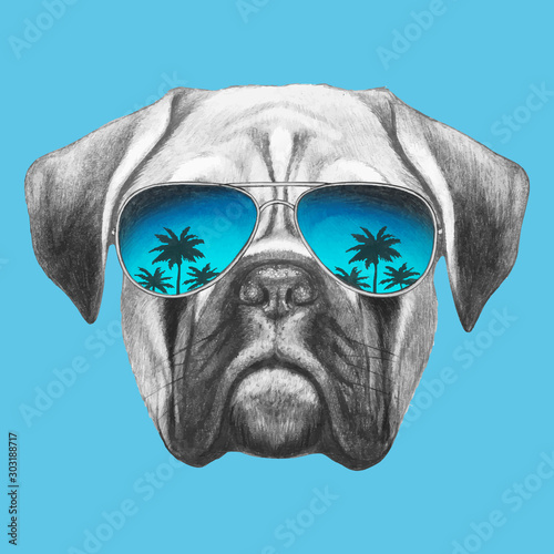 Portrait of Boxer Dog with glasses. Hand-drawn illustration. Vector isolated elements.	