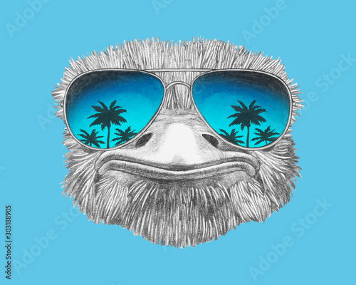 Portrait of Ostrich with sunglasses. Hand-drawn illustration. Vector isolated elements. 
