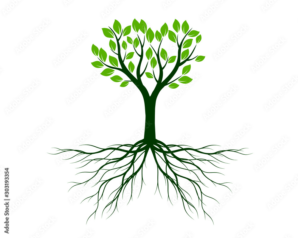 Green tree with roots. Vector Illustration. Plant in garden. Green tree with roots. Vector Illustration. Plant in garden.