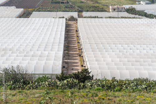 Aerial shot of greenhouses in Pachino, Sicily. Vegetable agriculture in hot houses