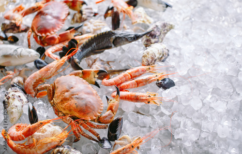 Seafood on ice. Crabs, sturgeon, shellfish, shrimp, Rapana, Dorado, on white ice.