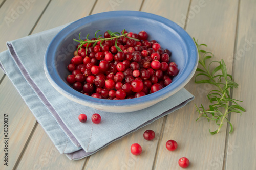 bowl of fresh red forest cranberries, healthy organic food concept. Bright colors image in red berries on blue bowl and background
