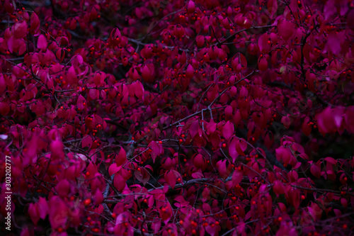 abstract background