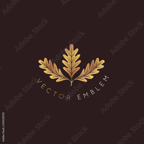 Vector logo design template with oak leaf - abstract emblem and symbol