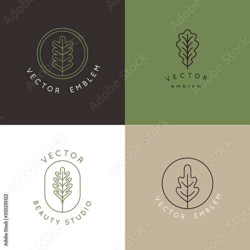 Vector logo design template with oak leaf - abstract emblem and symbol