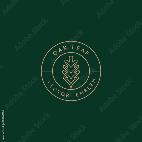 Vector logo design template with oak leaf - abstract emblem and symbol photo