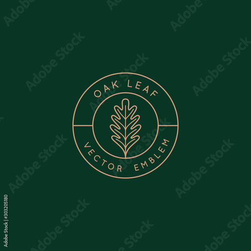Vector logo design template with oak leaf - abstract emblem and symbol
