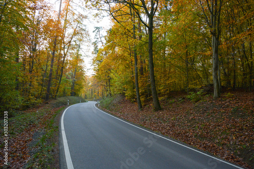 Fototapeta Naklejka Na Ścianę i Meble -  Autumn Street in the forest near Erlligheim, South of Germany