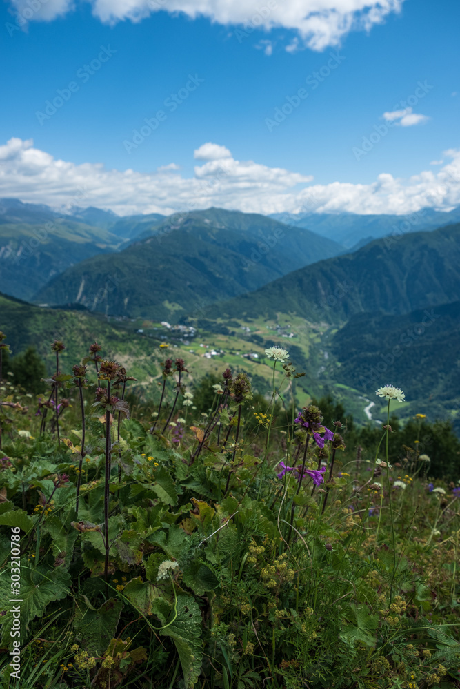 Fototapeta premium Zuruldi mountains - popular trek in Svaneti, Georgia. 