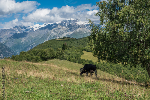 Zuruldi mountains - popular trek in Svaneti, Georgia.  photo