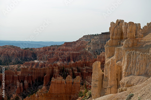 Bryce Canyon overlook with red hoodoos