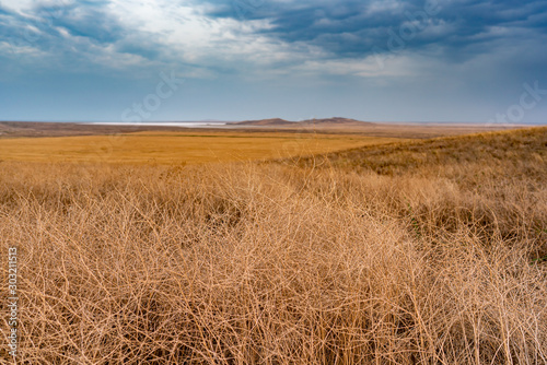 Valley in Crimea  Travel during Summer