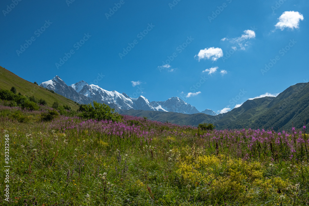 Adishi Glacier in Caucasus Mountain - popular trek in Svaneti, Georgia. 