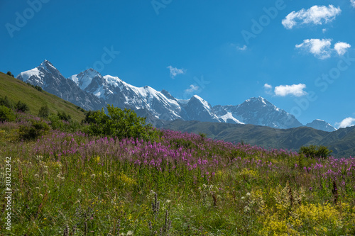 Adishi Glacier in Caucasus Mountain - popular trek in Svaneti  Georgia. 