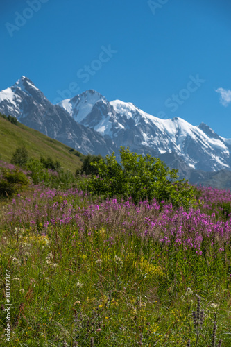 Adishi Glacier in Caucasus Mountain - popular trek in Svaneti  Georgia. 