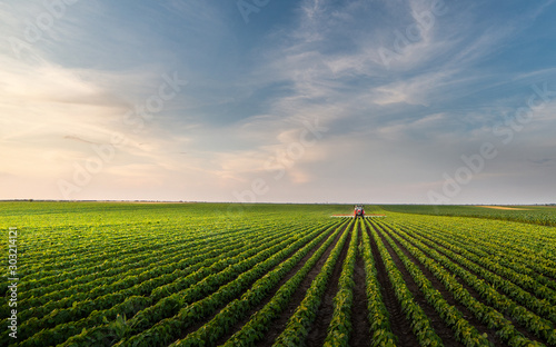 Fotobehang Tractor spraying soybean field in sunset.