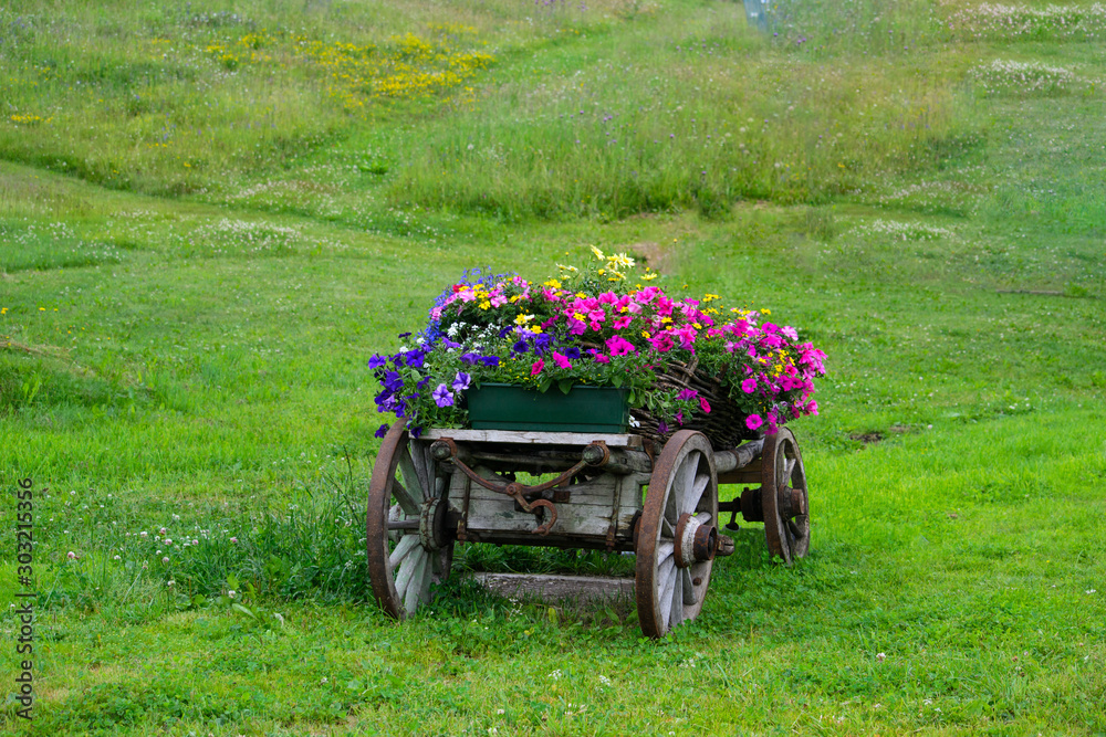 Carro di legno coperto di fiori abbandonato in un prato in montagna