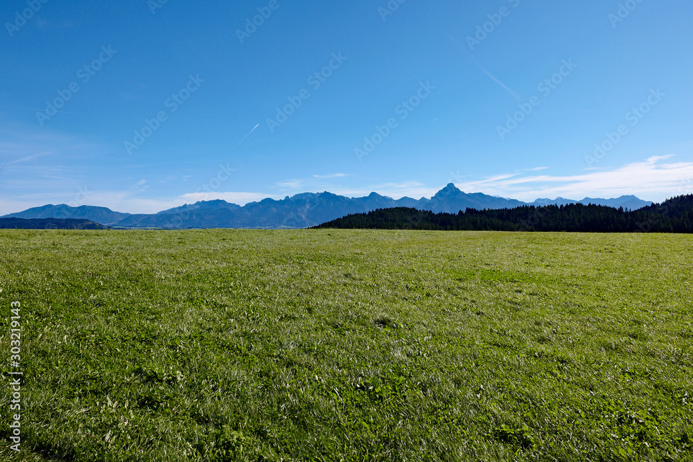 Grüne Wiese bei Füssen im Allbäu