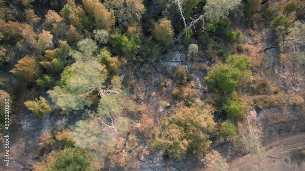 Aerial over burnt forest from the Kincaid wildfire in California. The hills and have been burnt from the fire that swept the region in October 2019. Healdsburg, California, USA. Aerial over burnt forest from the Kincaid wildfire in California. The hills and have been burnt from the fire that swept the region in October 2019. Healdsburg, California, USA.