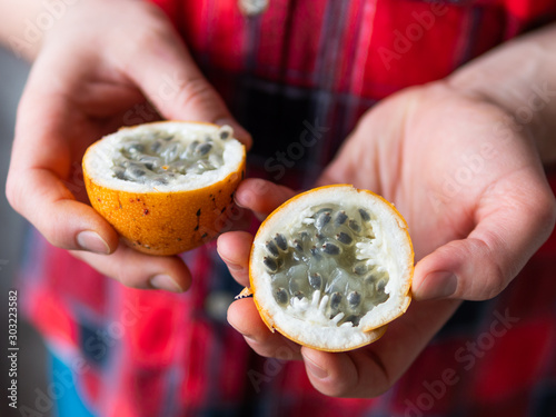 Man in tartan plaid shirt holds Passiflora ligularis, commonly known as the sweet granadilla or grenadia, also known as purple mangosteen. Exotic fruit harvest. photo