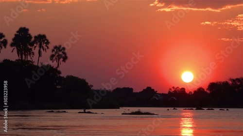 Sunset with Palm trees, Victoria Falls, Africa Beautiful sailing shot of Sunset with Palm tree, Victoria Falls, Africa photo