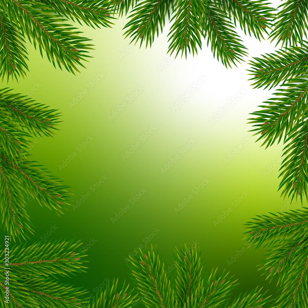 Frame with christmas tree branches. Vector illustration