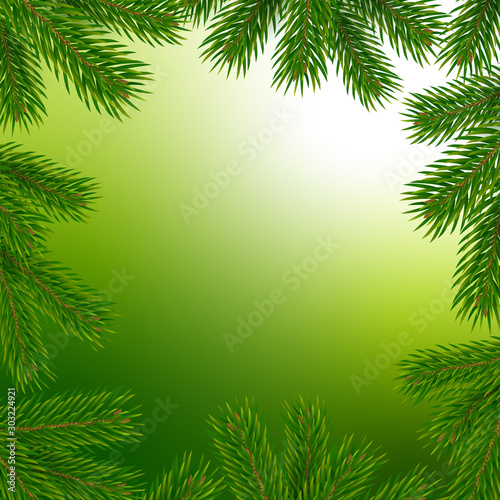 Frame with christmas tree branches. Vector illustration