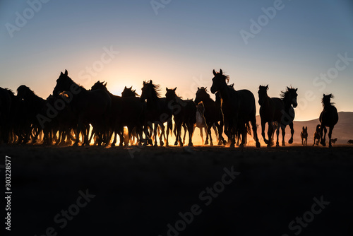 Fototapeta Naklejka Na Ścianę i Meble -  A herd of horses running on the sand storm