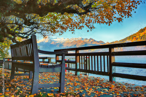 Spectacular autumn view of lake and trees in city park of Sell Am See photo