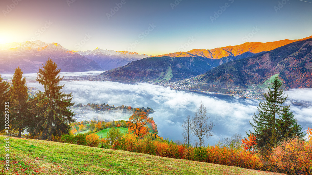 Spectacular autumn view of lake meadows trees and mountains in Sell Am See - obrazy, fototapety, plakaty 