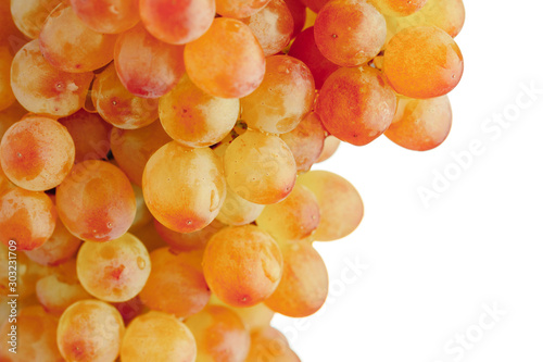 part of grapes vine, white background photo