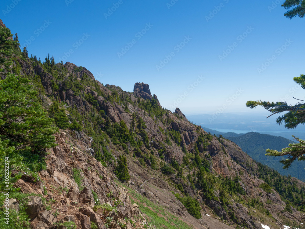 Mt. Ellinor Washington before they removed the Mountain Goats