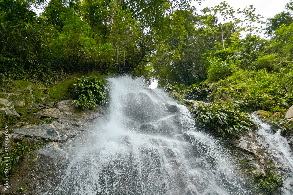 Obraz premium waterfall with green trees, landscape concept