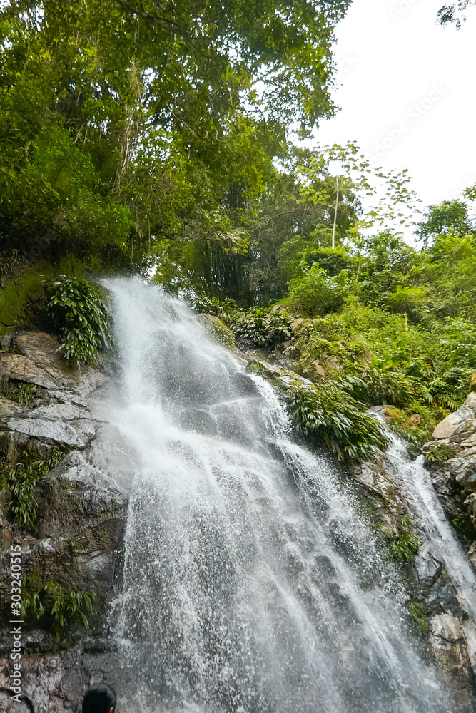 waterfall with green trees, landscape concept waterfall with green trees, landscape concept
