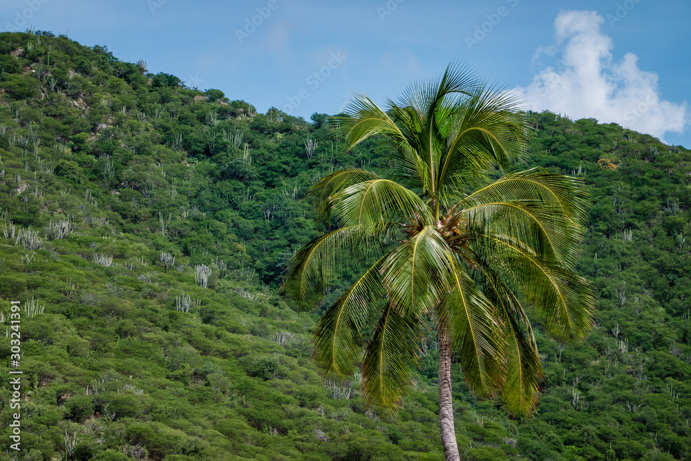 Obraz premium Playas de Santa Marta Magdalena en Colombia, turismo en el sector de Rodadero y Santa Marta