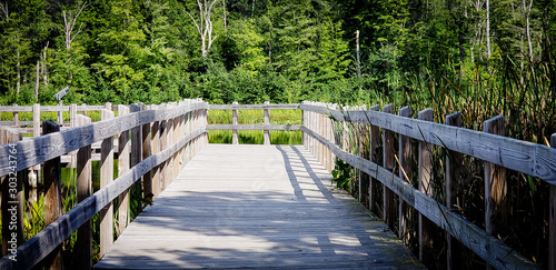 Boardwalk in Cleveland Metroparks in Ohio photo