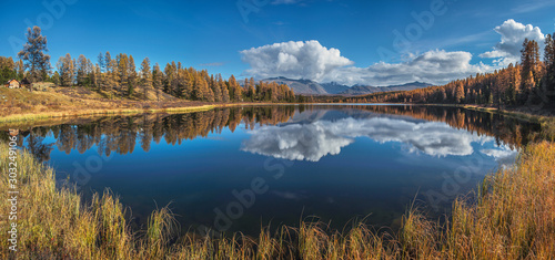 Panoramic view of the forest lake. Grass in the foreground, a picturesque reflection. Bright autumn day.