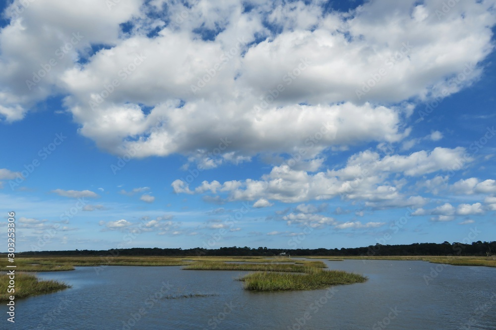 Beautiful view on the rivers and marshes of North Florida nature