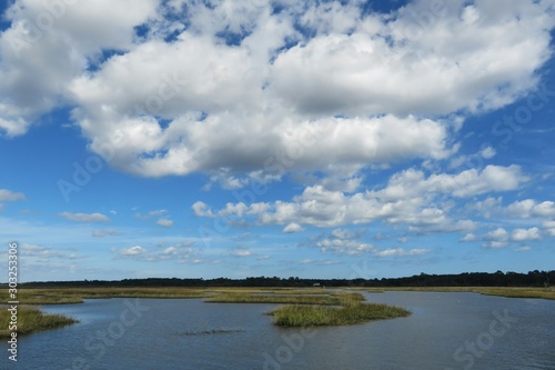Beautiful view on the rivers and marshes of North Florida nature