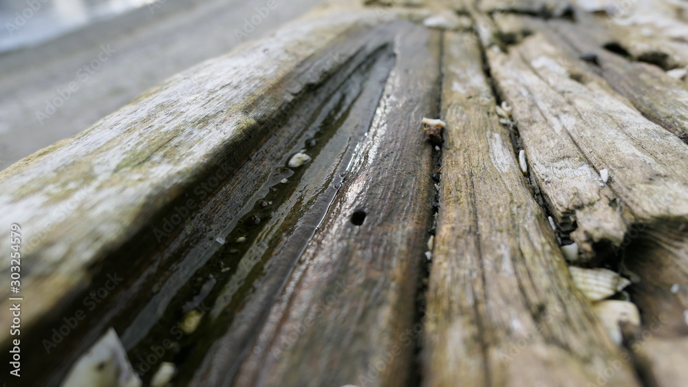Fototapeta premium wood and background