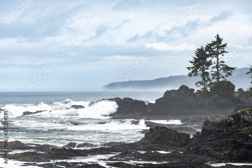 Konstfotografi Botanical Beach, Port Renfrew, Vancouver Island