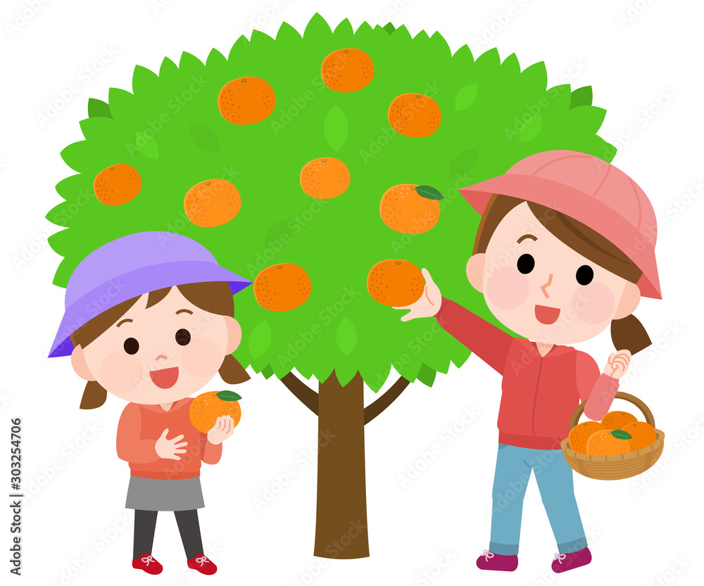 みかん狩りする母娘 イラスト Stock Vector Adobe Stock