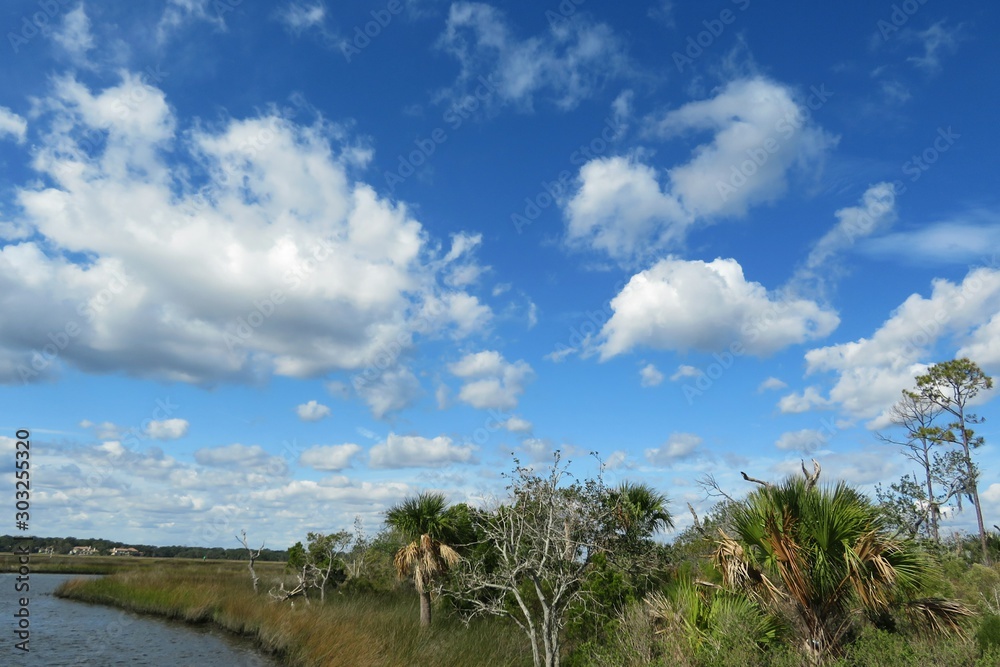 Beautiful view on the marshes and rivers of North Florida