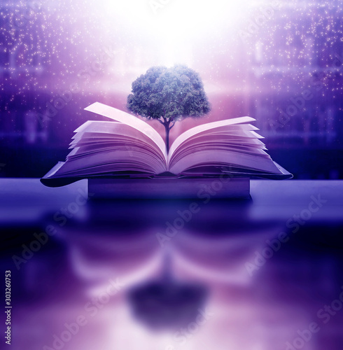 The concept of education by planting a tree of knowledge in the opening of an old book in the library and the magical magic of light that flies to the destination of success. Beautiful background © Ping198