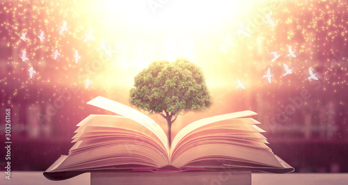  The blurred book that is bewitched with magic, the magic light in the dark, with the bright light shining down as the power to search for knowledge. For research and use as a blurred background photo