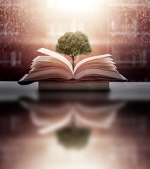 a-z, ancient, art, article, background, blurred background, book background, book education, book stack, bookcase, bookshelf, bright, classics, college, concept, cover, dark, document, education, expe