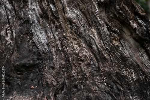 The surface of the wood is suitable as a backdrop for aesthetics.