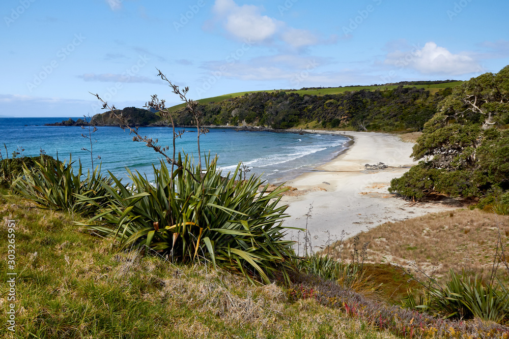 Coastal park of Tawharanui Peninsula, north of Auckland, New Zealand.