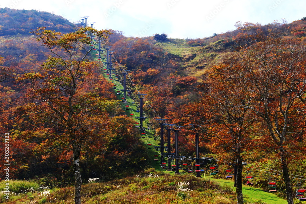 秋の谷川岳　紅葉の天神平と峠リフト
